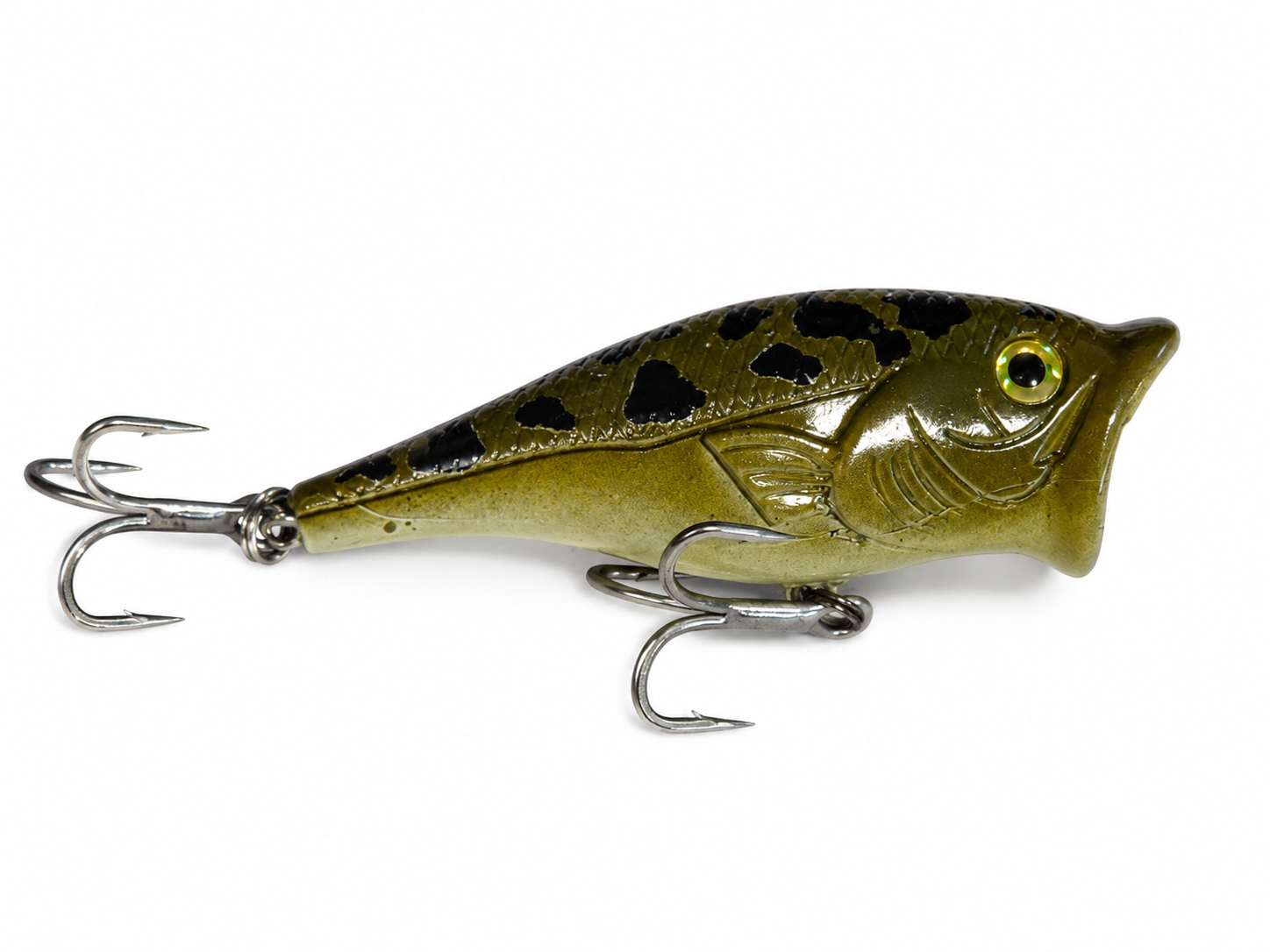 Bull Frog Popper