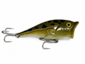 Bull Frog Popper - Hand Painted